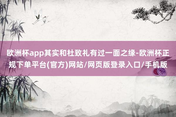 欧洲杯app其实和杜致礼有过一面之缘-欧洲杯正规下单平台(官方)网站/网页版登录入口/手机版