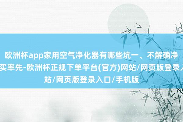 欧洲杯app家用空气净化器有哪些坑一、不解确净化需求就乱买率先-欧洲杯正规下单平台(官方)网站/网页版登录入口/手机版