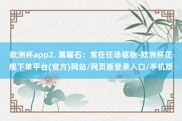 欧洲杯app2. 黑曜石：常在任场驱驰-欧洲杯正规下单平台(官方)网站/网页版登录入口/手机版
