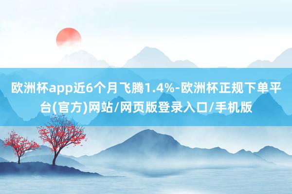欧洲杯app近6个月飞腾1.4%-欧洲杯正规下单平台(官方)网站/网页版登录入口/手机版