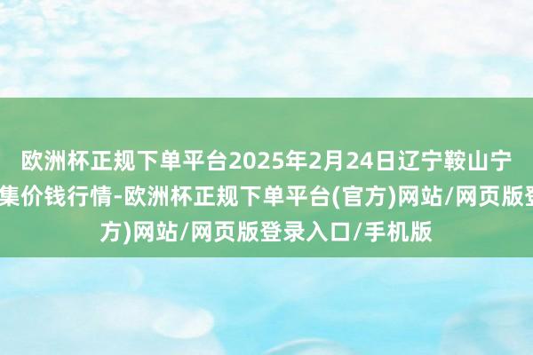 欧洲杯正规下单平台2025年2月24日辽宁鞍山宁远农家具批发市集价钱行情-欧洲杯正规下单平台(官方)网站/网页版登录入口/手机版