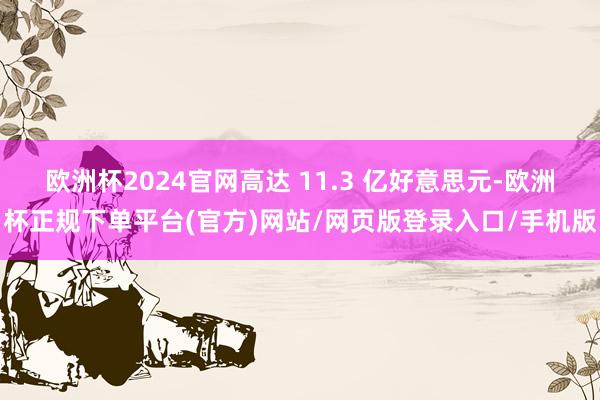 欧洲杯2024官网高达 11.3 亿好意思元-欧洲杯正规下单平台(官方)网站/网页版登录入口/手机版
