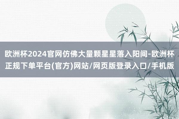 欧洲杯2024官网仿佛大量颗星星落入阳间-欧洲杯正规下单平台(官方)网站/网页版登录入口/手机版