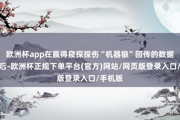 欧洲杯app在赢得窥探探伤“机器狼”回传的数据信息之后-欧洲杯正规下单平台(官方)网站/网页版登录入口/手机版