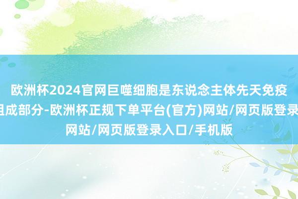 欧洲杯2024官网巨噬细胞是东说念主体先天免疫系统的紧要组成部分-欧洲杯正规下单平台(官方)网站/网页版登录入口/手机版