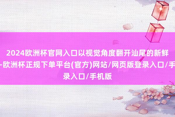 2024欧洲杯官网入口以视觉角度翻开汕尾的新鲜模式-欧洲杯正规下单平台(官方)网站/网页版登录入口/手机版