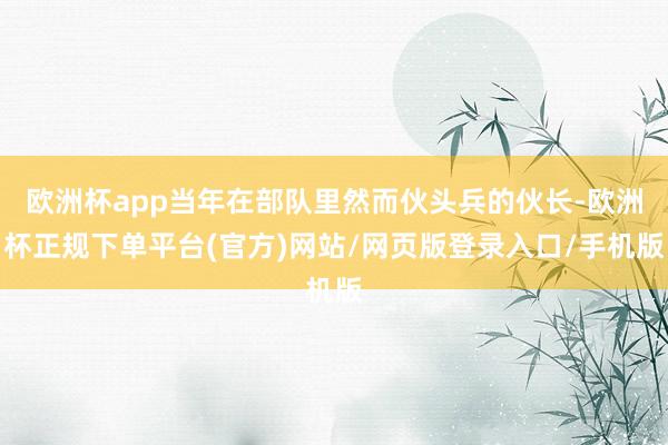 欧洲杯app当年在部队里然而伙头兵的伙长-欧洲杯正规下单平台(官方)网站/网页版登录入口/手机版