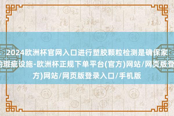 2024欧洲杯官网入口进行塑胶颗粒检测是确保家具质地和安全的瑕疵设施-欧洲杯正规下单平台(官方)网站/网页版登录入口/手机版