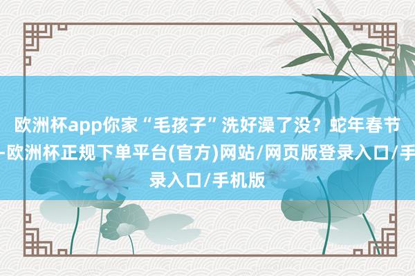 欧洲杯app你家“毛孩子”洗好澡了没？蛇年春节邻近-欧洲杯正规下单平台(官方)网站/网页版登录入口/手机版