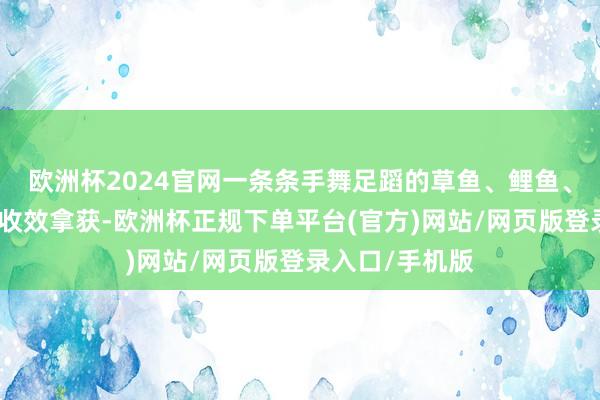欧洲杯2024官网一条条手舞足蹈的草鱼、鲤鱼、黑鱼、青鱼被收效拿获-欧洲杯正规下单平台(官方)网站/网页版登录入口/手机版