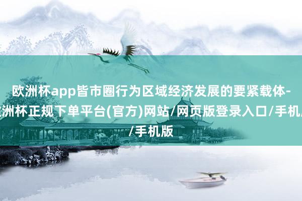欧洲杯app皆市圈行为区域经济发展的要紧载体-欧洲杯正规下单平台(官方)网站/网页版登录入口/手机版
