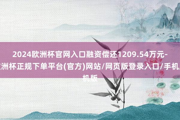 2024欧洲杯官网入口融资偿还1209.54万元-欧洲杯正规下单平台(官方)网站/网页版登录入口/手机版