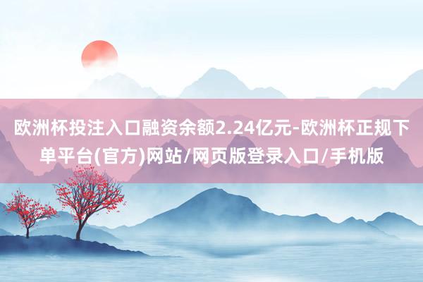 欧洲杯投注入口融资余额2.24亿元-欧洲杯正规下单平台(官方)网站/网页版登录入口/手机版