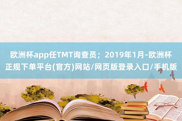欧洲杯app任TMT询查员；2019年1月-欧洲杯正规下单平台(官方)网站/网页版登录入口/手机版