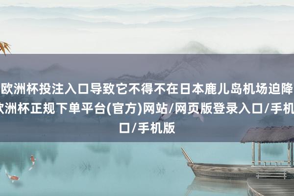 欧洲杯投注入口导致它不得不在日本鹿儿岛机场迫降-欧洲杯正规下单平台(官方)网站/网页版登录入口/手机版
