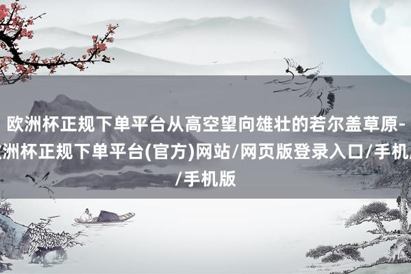 欧洲杯正规下单平台从高空望向雄壮的若尔盖草原-欧洲杯正规下单平台(官方)网站/网页版登录入口/手机版