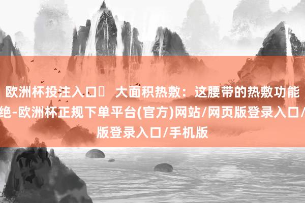 欧洲杯投注入口✅ 大面积热敷：这腰带的热敷功能亦然一绝-欧洲杯正规下单平台(官方)网站/网页版登录入口/手机版