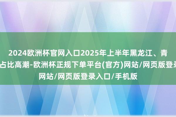 2024欧洲杯官网入口2025年上半年黑龙江、青海的短期债务占比高潮-欧洲杯正规下单平台(官方)网站/网页版登录入口/手机版