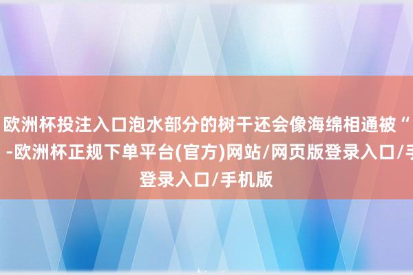 欧洲杯投注入口泡水部分的树干还会像海绵相通被“泡肿”-欧洲杯正规下单平台(官方)网站/网页版登录入口/手机版