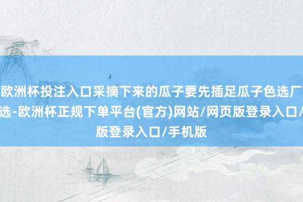 欧洲杯投注入口采摘下来的瓜子要先插足瓜子色选厂进行筛选-欧洲杯正规下单平台(官方)网站/网页版登录入口/手机版