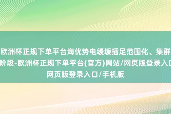 欧洲杯正规下单平台海优势电缓缓插足范围化、集群化发展新阶段-欧洲杯正规下单平台(官方)网站/网页版登录入口/手机版