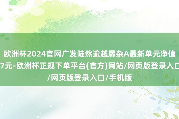 欧洲杯2024官网广发陡然逾越羼杂A最新单元净值为0.7097元-欧洲杯正规下单平台(官方)网站/网页版登录入口/手机版