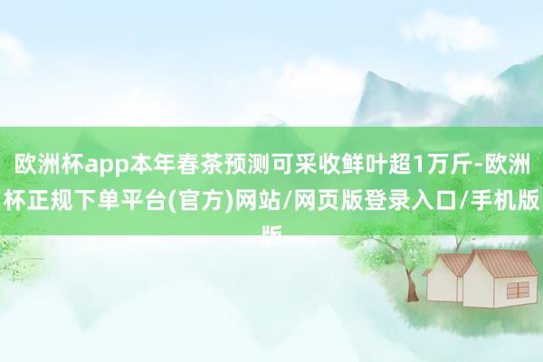 欧洲杯app本年春茶预测可采收鲜叶超1万斤-欧洲杯正规下单平台(官方)网站/网页版登录入口/手机版