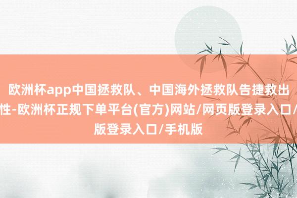 欧洲杯app中国拯救队、中国海外拯救队告捷救出又名男性-欧洲杯正规下单平台(官方)网站/网页版登录入口/手机版