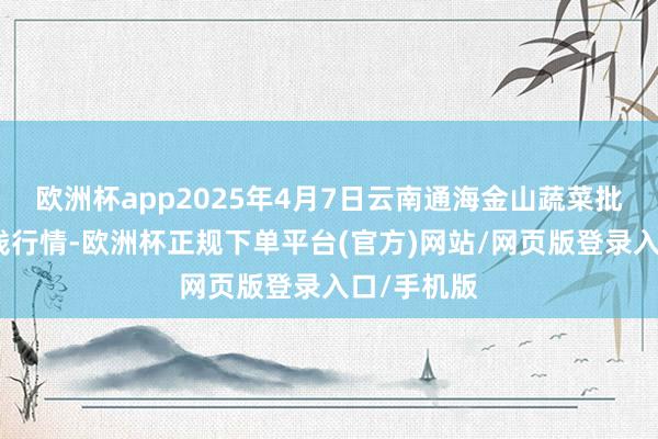 欧洲杯app2025年4月7日云南通海金山蔬菜批发阛阓价钱行情-欧洲杯正规下单平台(官方)网站/网页版登录入口/手机版