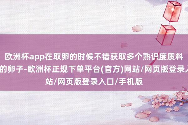 欧洲杯app在取卵的时候不错获取多个熟识度质料王人相比好的卵子-欧洲杯正规下单平台(官方)网站/网页版登录入口/手机版