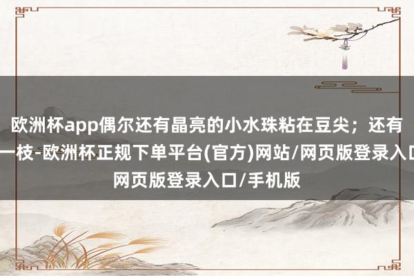 欧洲杯app偶尔还有晶亮的小水珠粘在豆尖；还有那新发的一枝-欧洲杯正规下单平台(官方)网站/网页版登录入口/手机版
