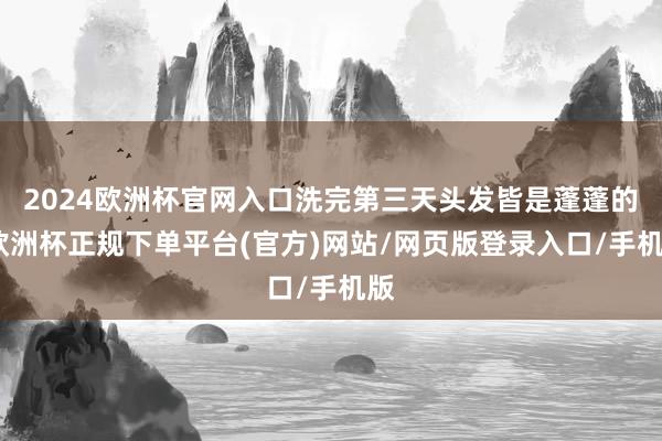 2024欧洲杯官网入口洗完第三天头发皆是蓬蓬的-欧洲杯正规下单平台(官方)网站/网页版登录入口/手机版