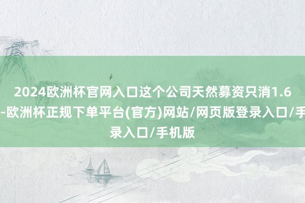 2024欧洲杯官网入口这个公司天然募资只消1.608亿-欧洲杯正规下单平台(官方)网站/网页版登录入口/手机版