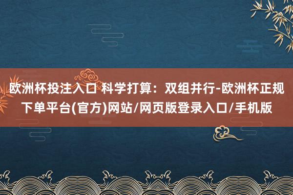 欧洲杯投注入口 科学打算：双组并行-欧洲杯正规下单平台(官方)网站/网页版登录入口/手机版