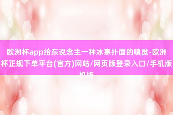 欧洲杯app给东说念主一种冰寒扑面的嗅觉-欧洲杯正规下单平台(官方)网站/网页版登录入口/手机版