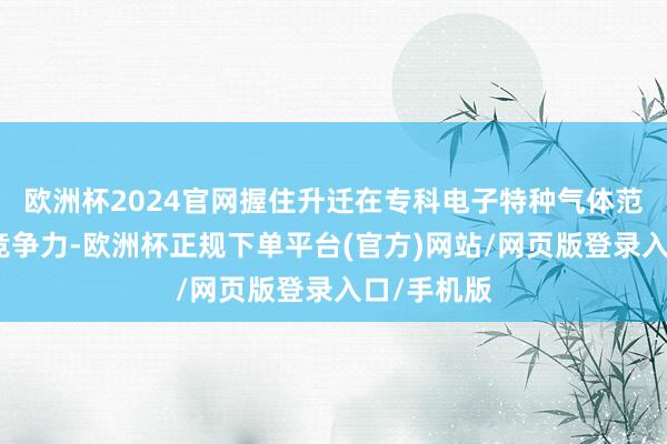 欧洲杯2024官网握住升迁在专科电子特种气体范围的中枢竞争力-欧洲杯正规下单平台(官方)网站/网页版登录入口/手机版