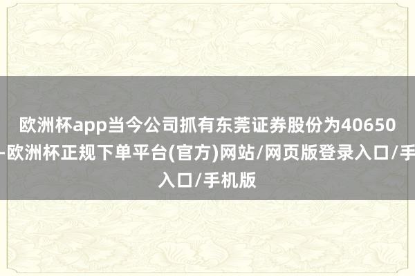 欧洲杯app当今公司抓有东莞证券股份为40650万股-欧洲杯正规下单平台(官方)网站/网页版登录入口/手机版